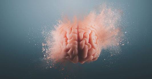 Why you need a second brain in your life
