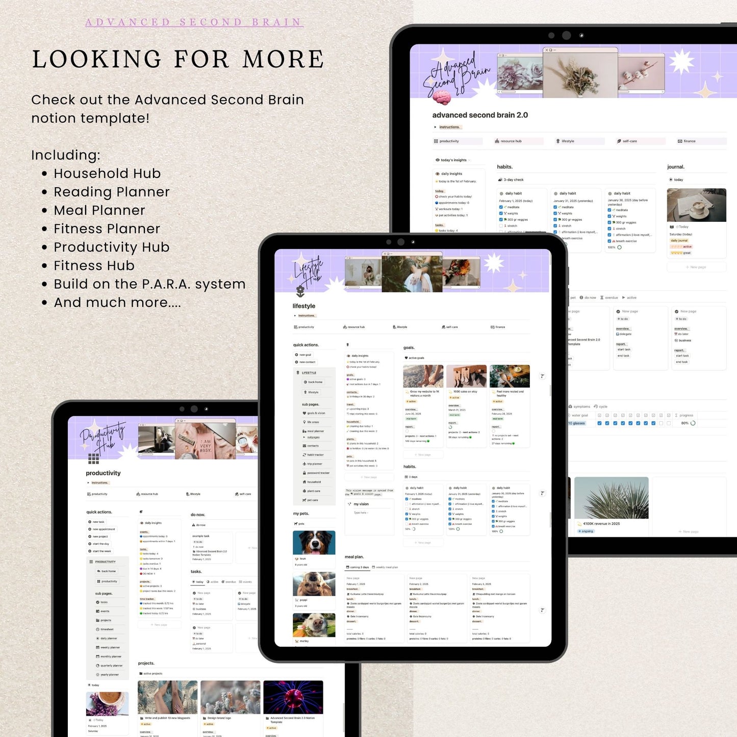 Notion Subscription Tracker & Password Tracker Template